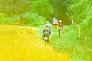 BIB: 
                            <button type="button" onclick="openModal(13456678)" class="btn btn-primary btn-sm float-right btn-popup" data-toggle="modal" data-target=".modal-high-quality">
                        <i class="fas fa-shopping-cart"></i> Add to Cart
                    </button>
                                            <button type="button" onclick="isThisMe(13456678, true)" class="btn btn-success btn-sm float-right btn-popup btn-isme hidden" data-toggle="tooltip" data-placement="bottom" title="นี่คือรูปของคุณใช่ไหม คลิกที่นี่เพื่อเอาเข้าอัลบั้ม">
                        <i class="fas fa-plus"></i> Add to album
                    </button>
                    <button type="button" onclick="isThisMe(13456678, false)" class="btn btn-warning btn-sm float-right btn-popup btn-isnotme hidden">
                        <i class="fas fa-ban"></i> Remove from album
                    </button>